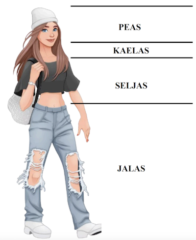 body parts in Estonian